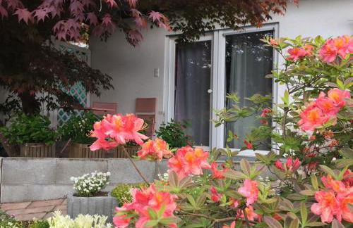 Haus Magnolia 2 - Foto 4