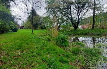 Domek Zielony Dzięcioł - Foto 9