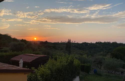 Tony's Home - Foto 25