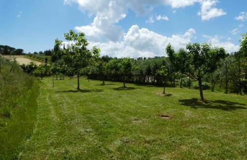 Podere Sionne - Foto 52