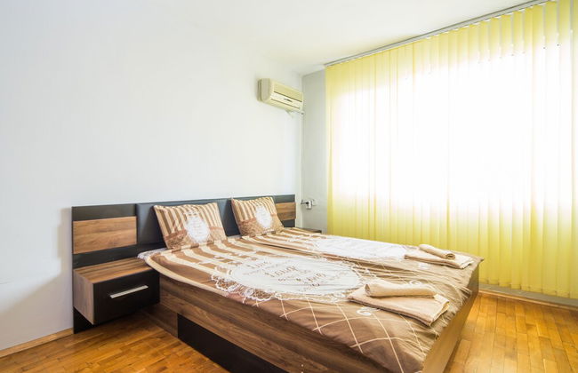 Aleks Classic - Foto 5