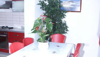 Apartment Jasovic - Foto 4