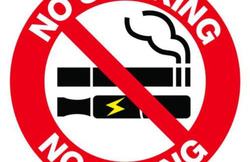 Bird House - Foto 19