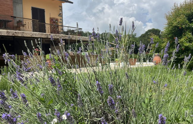 Ristorante Agriturismo La Palma - Foto 27