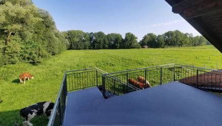 Exclusiv - Ferienwohnung Hinterreiter - Foto 3, Garden view