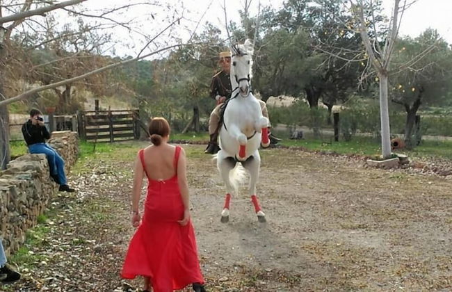 Finca Los Caleros - Photo 33