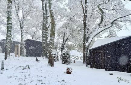 The Squirrel - Foto 6