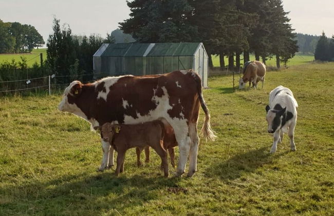 Ottenhain Natural Paradise - Foto 15