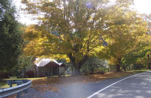 Historic cabin off I-77, views, antiques, Wi-fi, wonderful experience for 2! - Foto 36