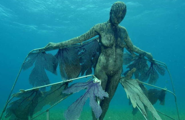 MUSA Snorkeling Tour - Foto 2