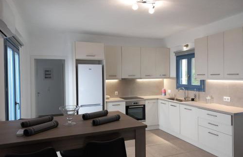 Aegean Mirror, Andros - Foto 29