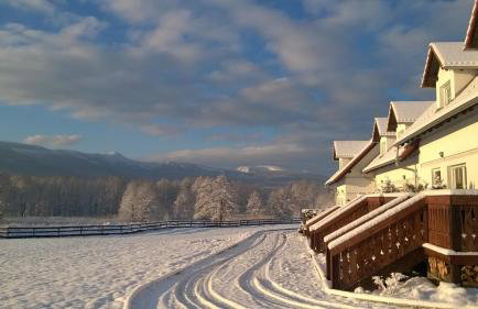 Wysokie Łąki domki w górach - Foto 7