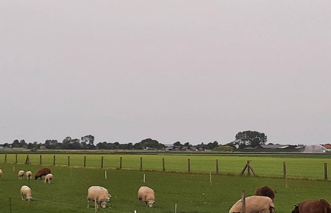 Stylish Holiday Home by the sea - Foto 40