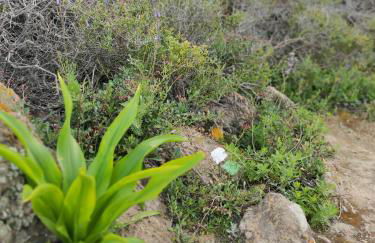 La Casita del Sendero - Foto 27