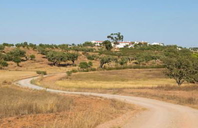 Monte da Ameixa Country House - Foto 13