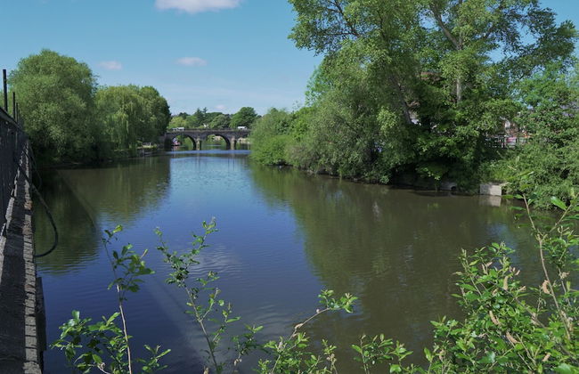 Meadow Terrace - Foto 69