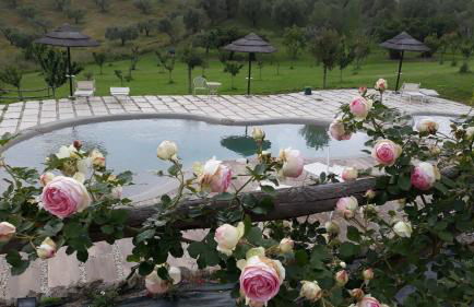 angolo di paradiso - Foto 43