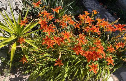 Apartments Oxygen - Foto 59