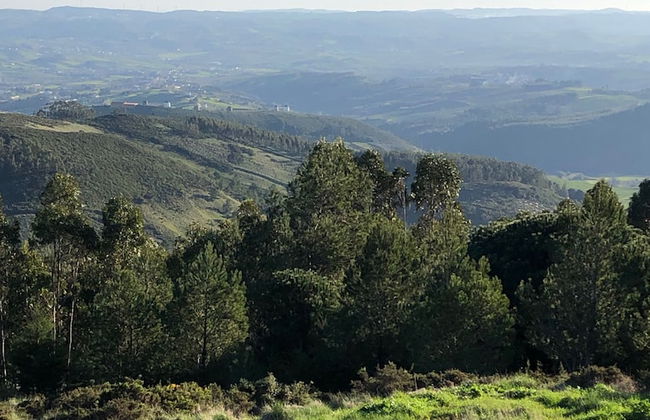 Terra Luso - Foto 67