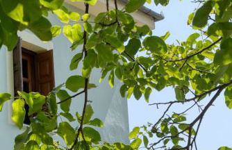 Maria's House - Foto 35