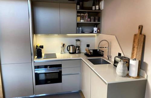 AURON Centre Station - Superbe appartement chalet au pied des pistes - Foto 12