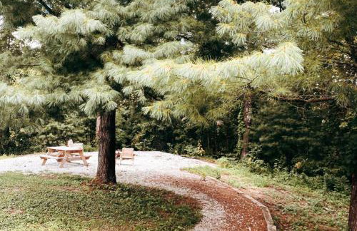 "Lumber Lodge" - Comfy & Woodsy Stay in RRG/Auxier - Foto 12