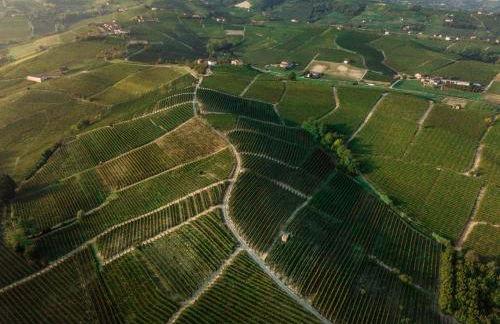 Babo Agriturismo Conviviale - Foto 46