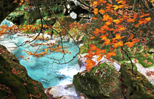 Jardines de Viana - Foto 33