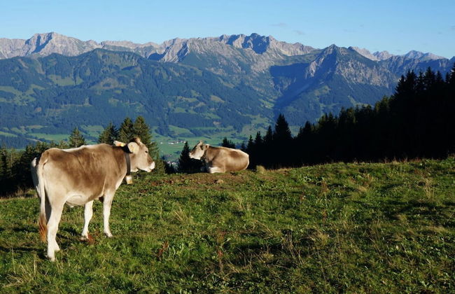 Bader Modern Retreat - Foto 13