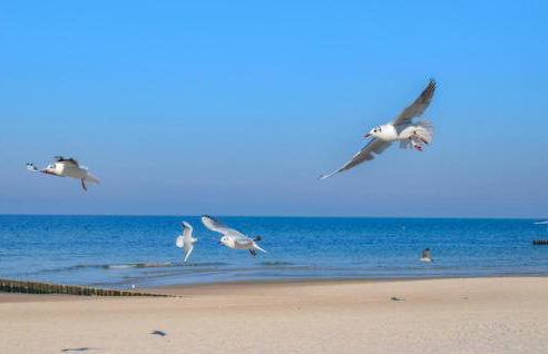 Amazing Home In Postomino With Wifi - Foto 9