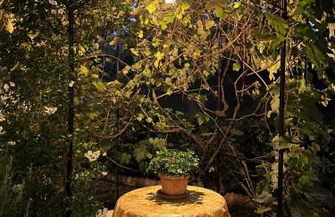 Buonarroti 19 - Foto 15