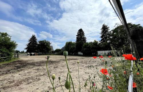 Exklusive Landvilla mit Pool, Sauna und Garten - Foto 24