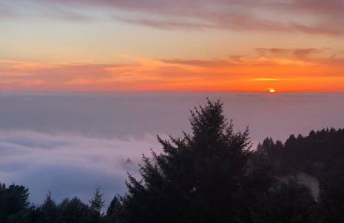 Shelter Cove Brand New Beautiful Ocean View Home - Foto 5