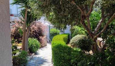 Hidden Gem with Sunset in the Aegean Sea, Two Traditional Homes in Ano Vathy, Samos - Foto 5, Garden, Garden view