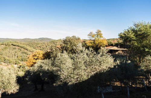 Pozuelo 1 JABUGO - Foto 14