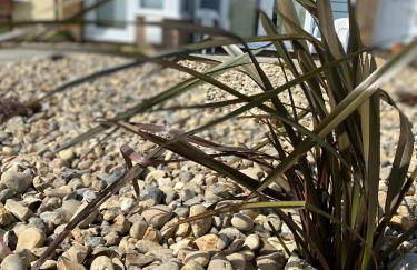 4 Sea View Walk, Pakefield - Foto 26