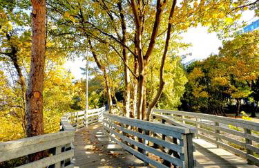 Baltic Waves Miedzyzdroje - Foto 45