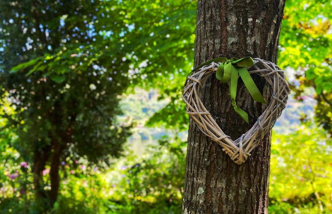 Lovely 1-bed Apartment in Santa Cruz do Douro - Photo 15
