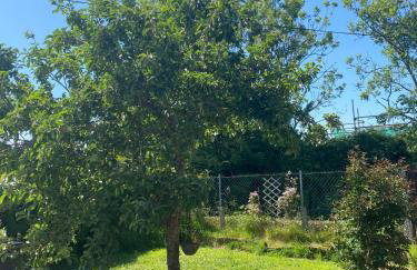 Manor Close - Foto 8