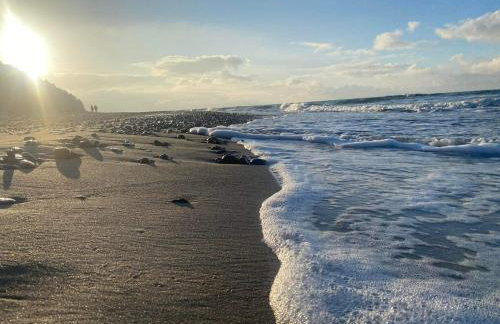 Zielonka Relaks - Foto 33