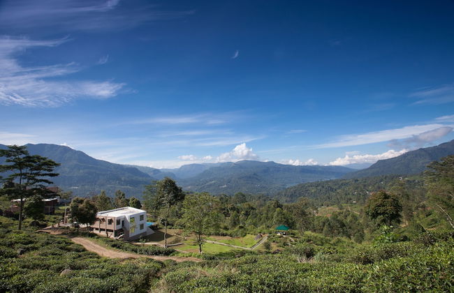 Ramboda Villa - Photo 22