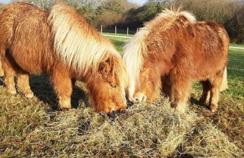 Holiday Home - St Austell - Foto 27