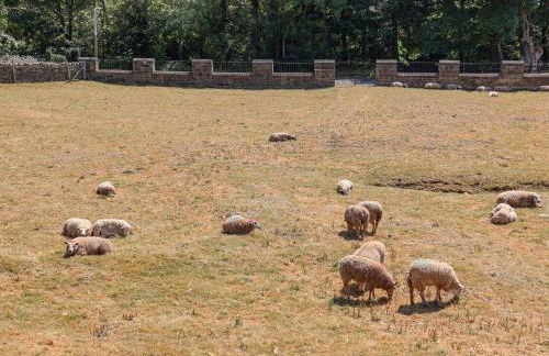 Cunliffe House - Foto 36