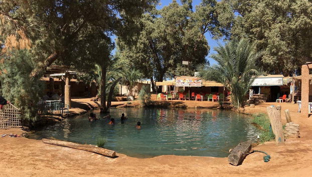Step into the Ksar Ghilane Oasis