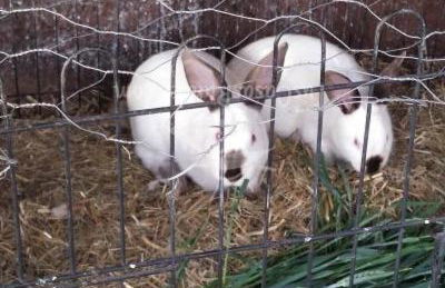Casa Rural Abuela Simona - Foto 11
