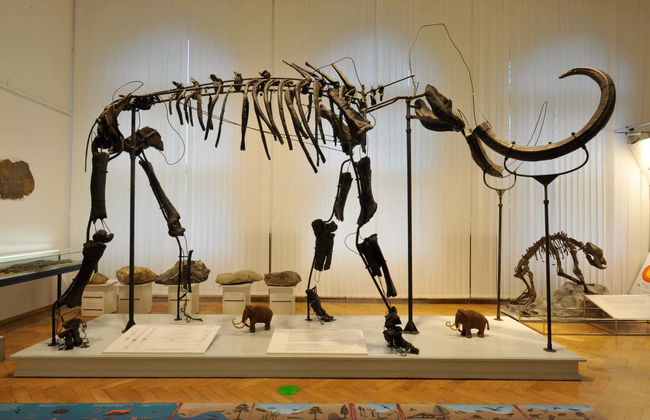 Ljubljana Card - Foto 4