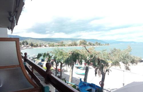 Vrachos Κanari - Photo 60