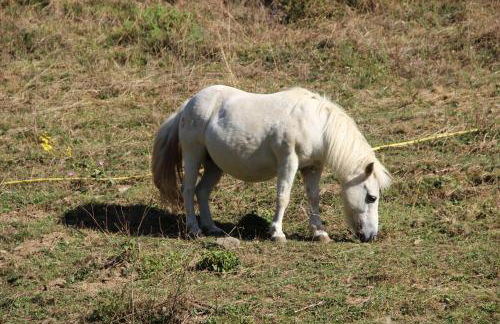 Chalet La Fedora - Appartements de charme - Foto 157
