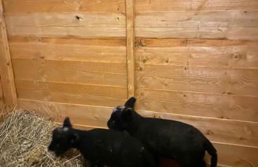 Lovely Semi-rural Caravan & Hot Tub - Sleeps Fam 6 - Photo 49