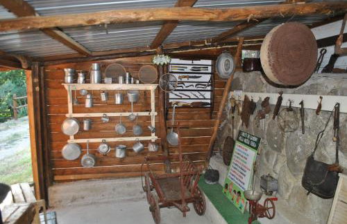 Azienda Agricola Biologica La Cardellina - Foto 19